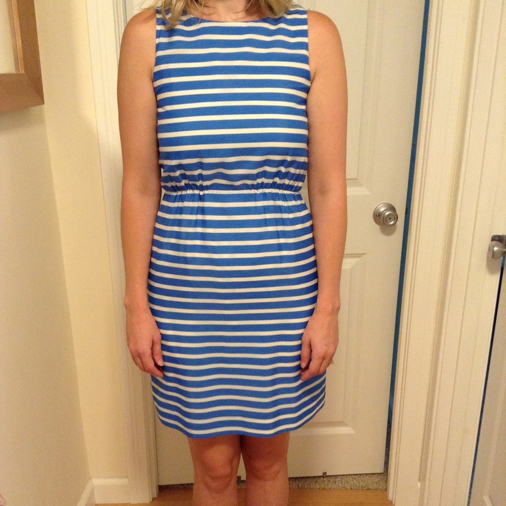J CREW dress